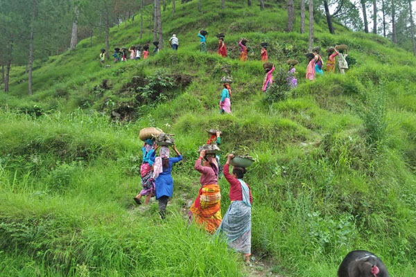 Environmental Protection